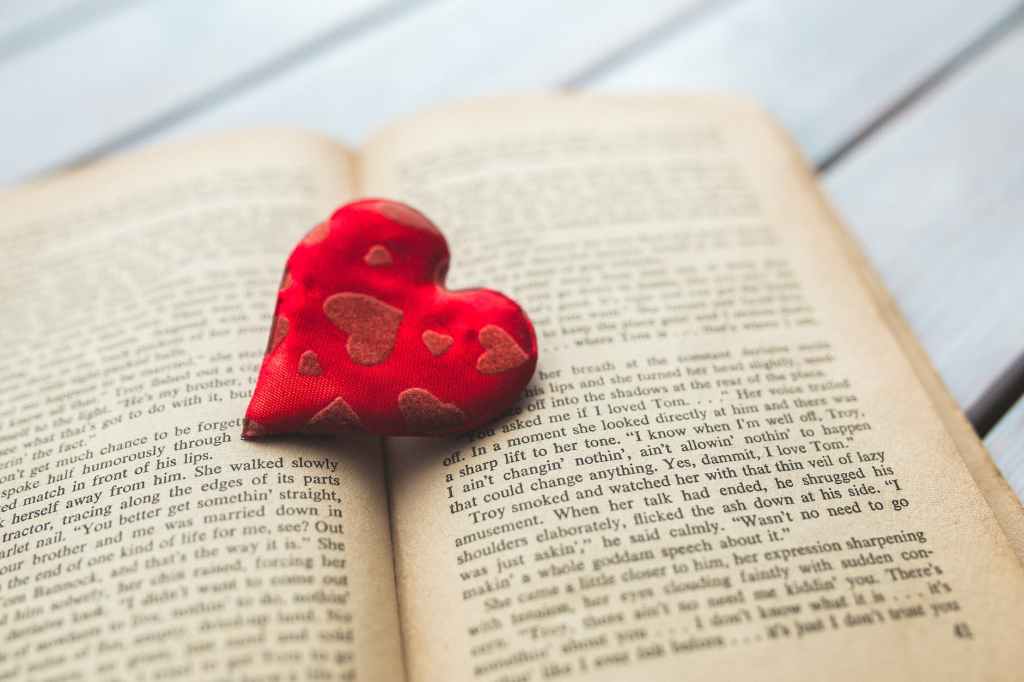 Valentine’s Day: What’s your favorite romance novel?