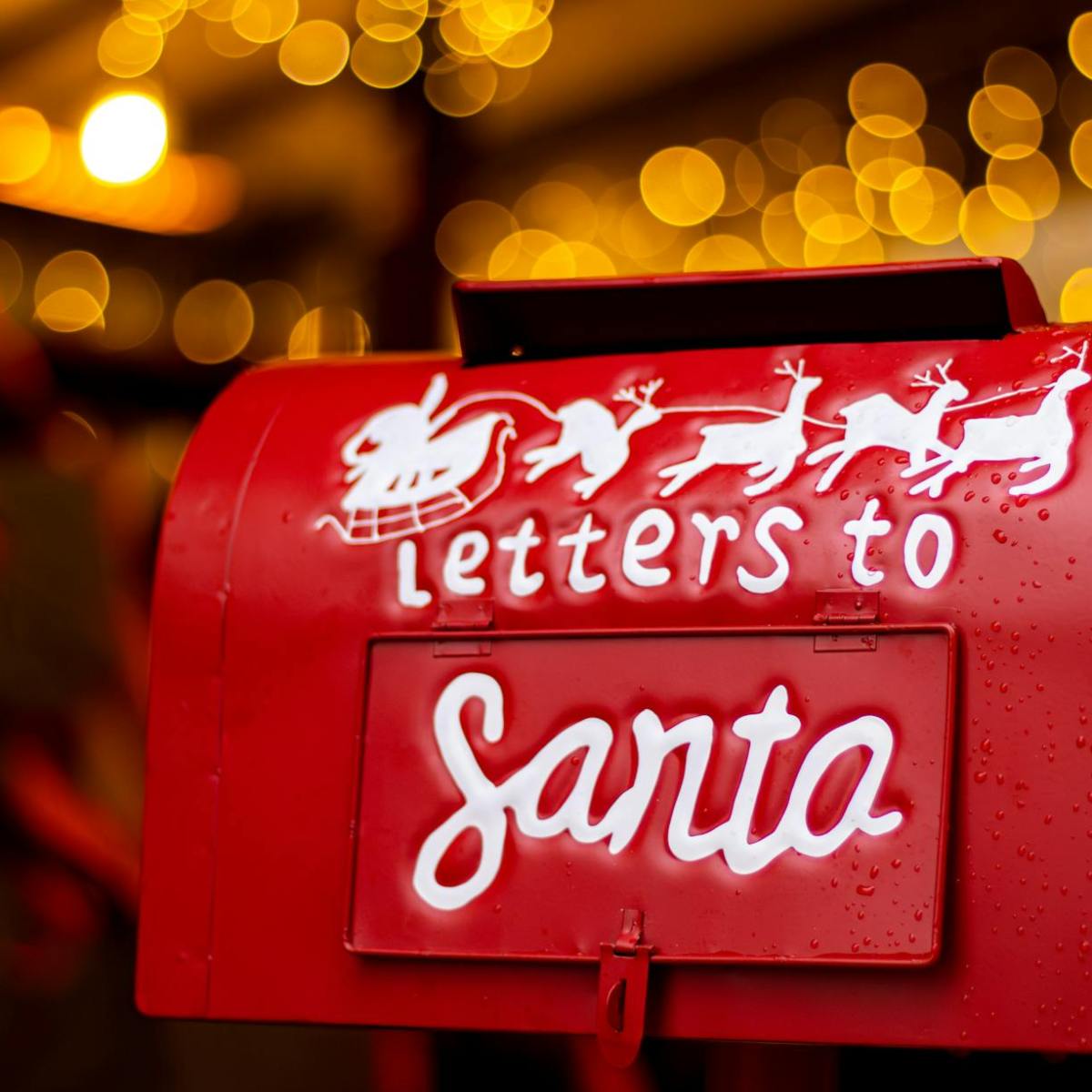 🎄 A Christmas Miracle… Almost&nbsp;🎄